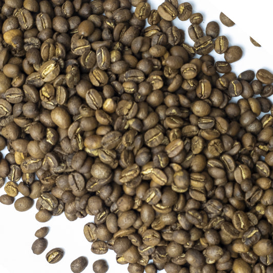 Red Fern - Medium Roast